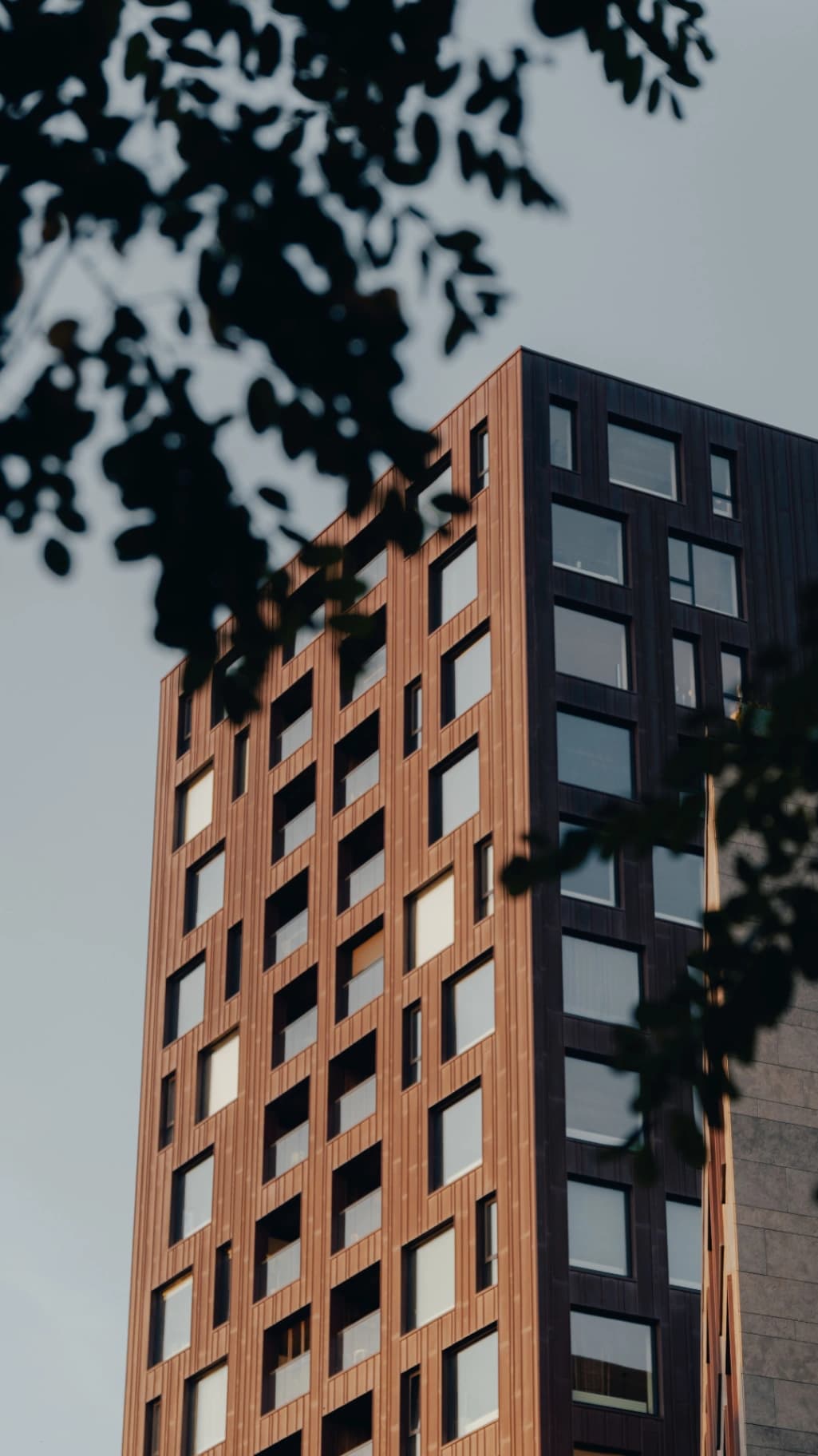 A iluminação natural tornou-se um diferencial nos imóveis residenciais