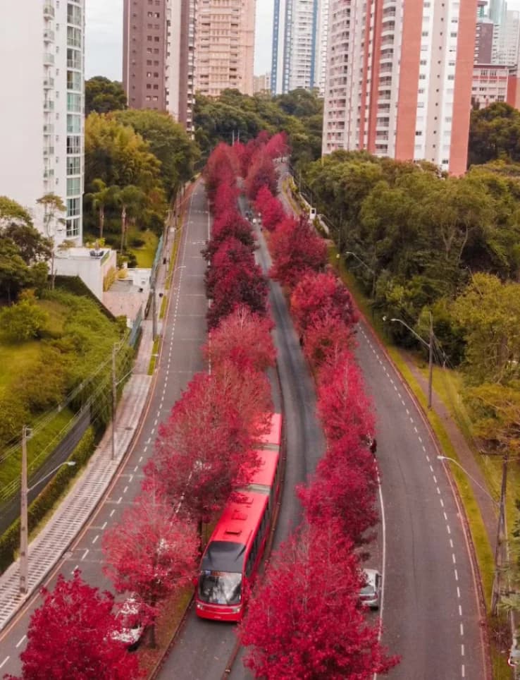 Quanto vale o aluguel de um imóvel comercial no Mossunguê? Entenda os fatores