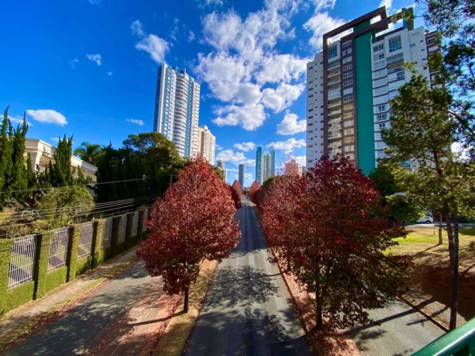Como definir o aluguel de um conjunto comercial no Mossunguê?
