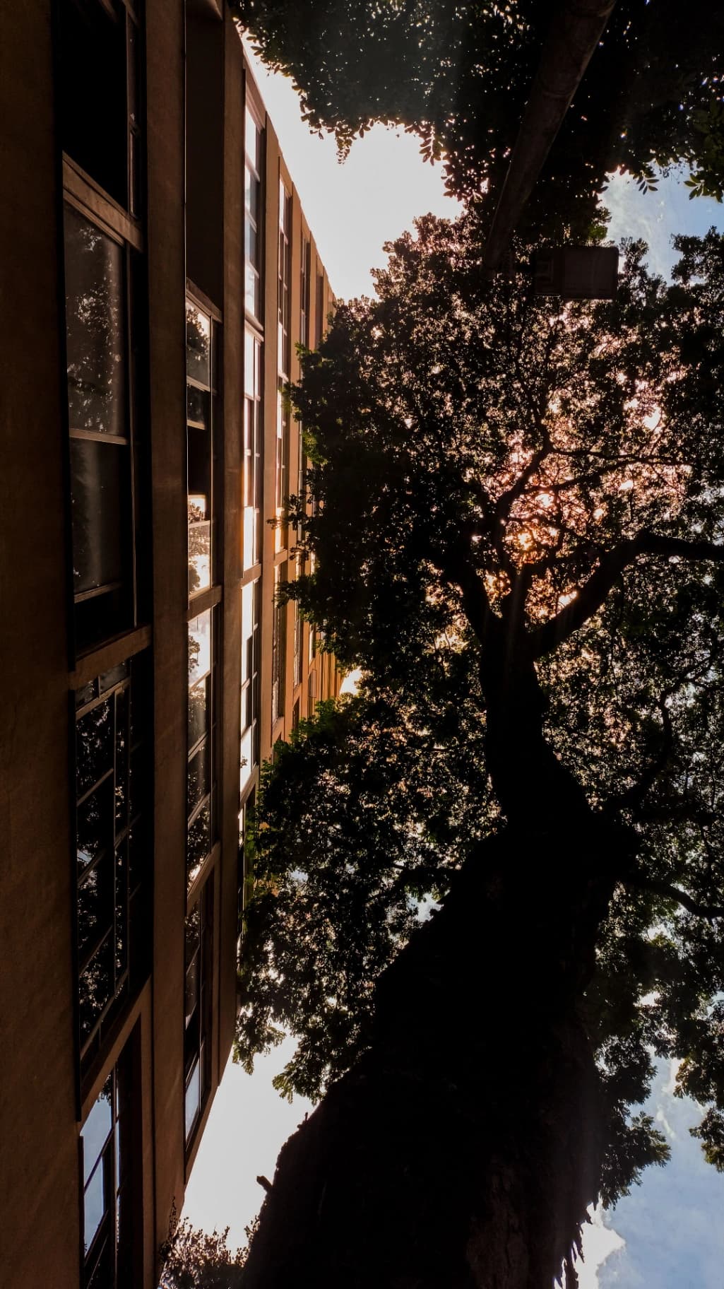 Seu apartamento no Cabral está no preço certo ou apenas bem localizado?