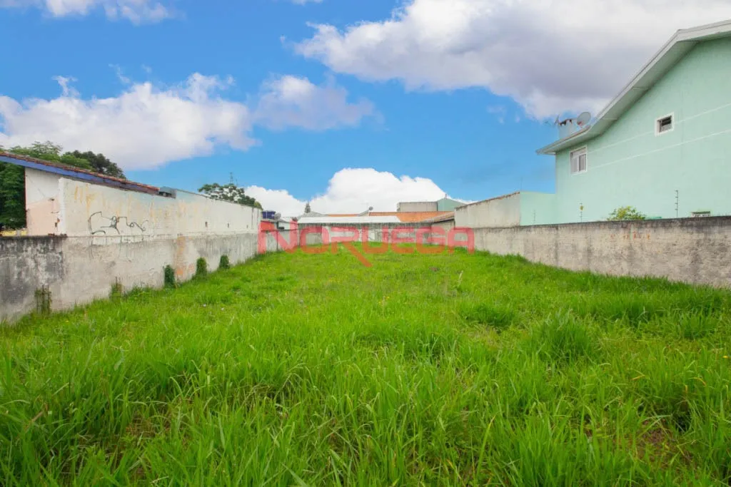 Apartamento, 560 m² - Foto 4