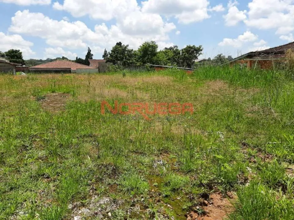 Apartamento, 768 m² - Foto 4