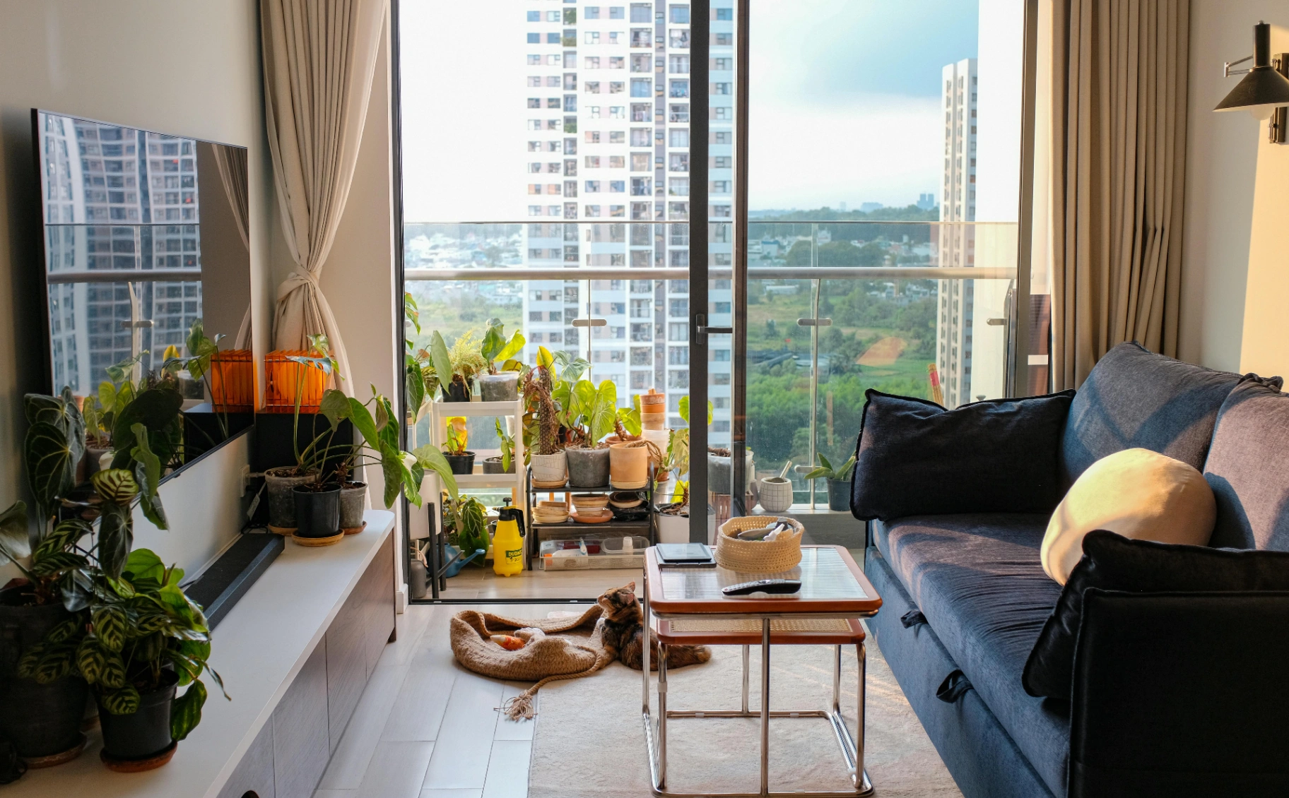 Aluguel na Av. Silva Jardim em Curitiba: o que você precisa saber antes de se mudar